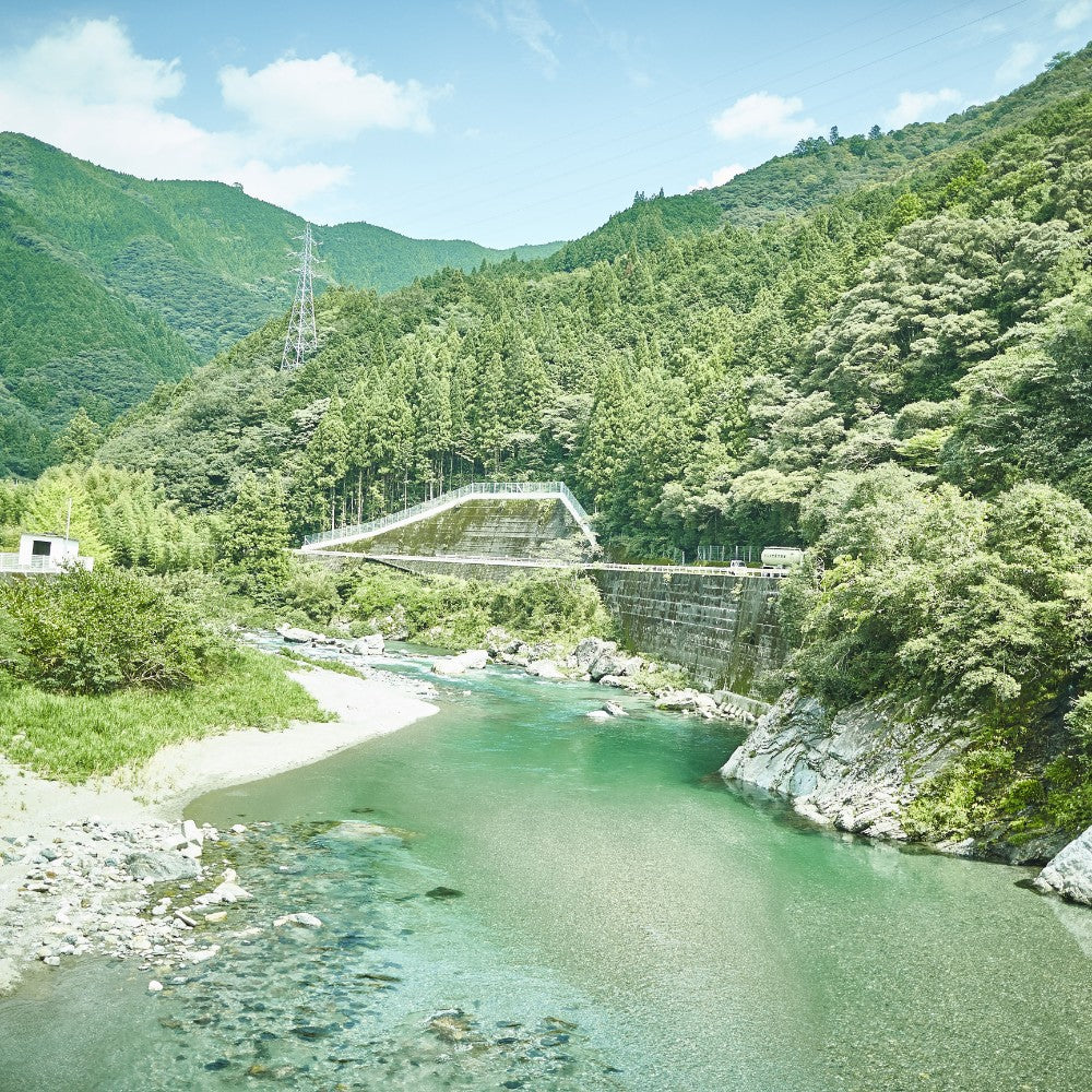 【定期便】赤トマト豆ゼリー 20本/月