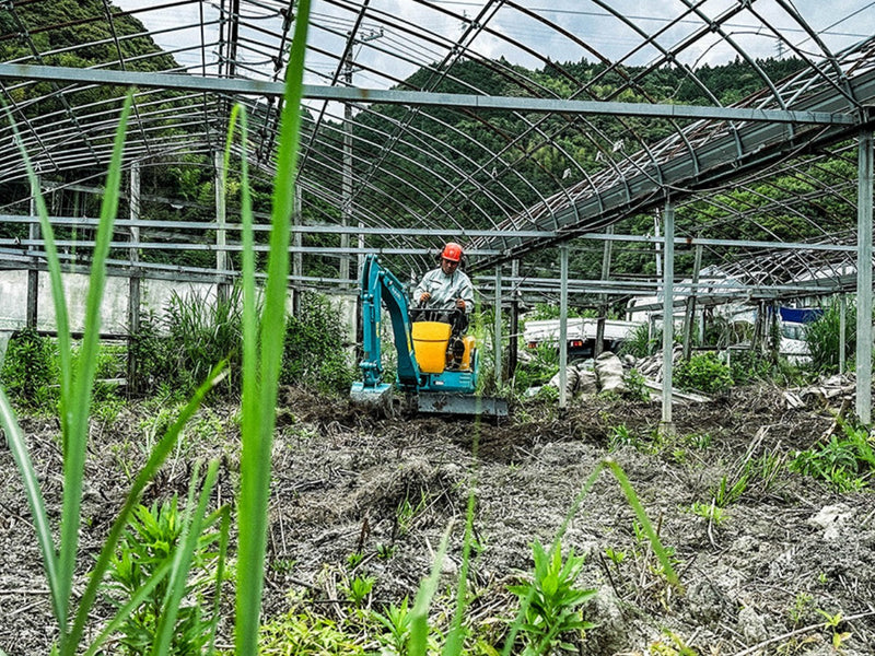 土佐八升豆を植えて、耕作放棄地をもう1度、農地へ生き返らせる。
